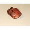 Beefsteak Fungus (Fistulina hepatica) 148