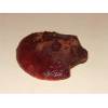 Beefsteak Fungus (Fistulina hepatica) 152