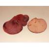 Beefsteak Fungus (Fistulina hepatica) 156