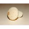 Common Puffball (Lycoperdon perlatum) 262