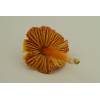 Crimson Waxcap (Hygrocybe punicea) 273