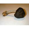 Deer Shield (Pluteus cervinus) 301