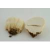 Meadow Puffball (Vascellum pratense) 440