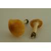 Meadow Waxcap (Hygrocybe pratensis) 459