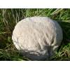 Mosaic Puffball (Handkea utriformis) 474