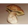 example of Bolete