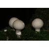 Stump Puffball (Lycoperdon pyriforme) 671