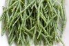 Marsh Samphire (Salicornia europaea) 892